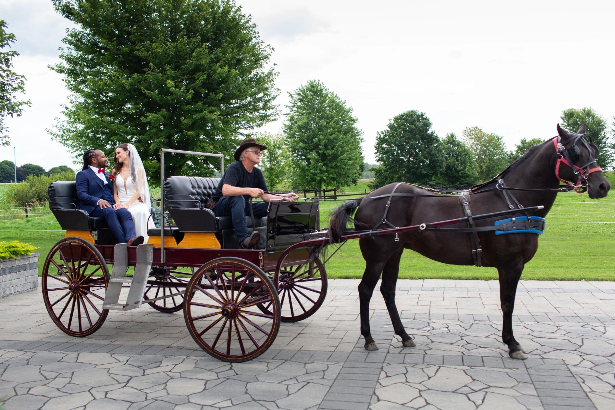 The Wedding Ring - theweddingring.ca